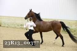 23R13_00377 thumbnail