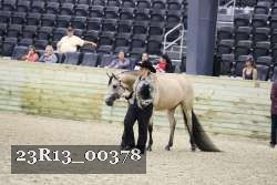 23R13_00378 thumbnail