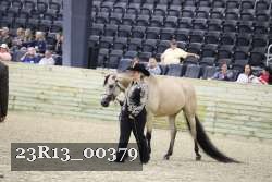 23R13_00379 thumbnail