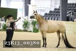 23R13_00380 thumbnail