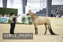 23R13_00381 thumbnail