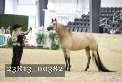 23R13_00382 thumbnail