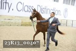 23R13_00407 thumbnail