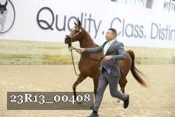 23R13_00408 thumbnail