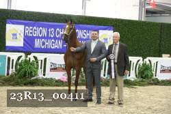 23R13_00411 thumbnail