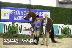 23R13_00414 thumbnail