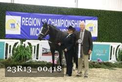 23R13_00418 thumbnail