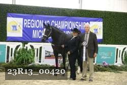 23R13_00420 thumbnail