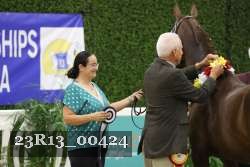 23R13_00424 thumbnail