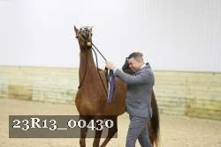 23R13_00430 thumbnail