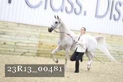 23R13_00481 thumbnail
