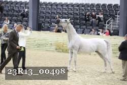 23R13_00498 thumbnail