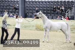 23R13_00499 thumbnail