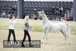 23R13_00500 thumbnail
