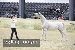 23R13_00502 thumbnail