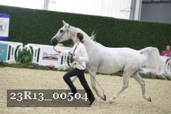 23R13_00504 thumbnail