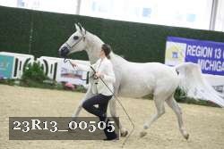 23R13_00505 thumbnail