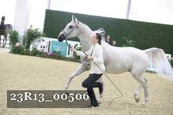 23R13_00506 thumbnail