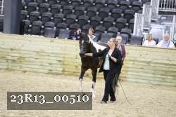 23R13_00510 thumbnail