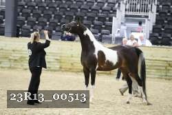 23R13_00513 thumbnail