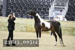 23R13_00514 thumbnail