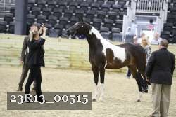 23R13_00515 thumbnail