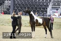 23R13_00516 thumbnail
