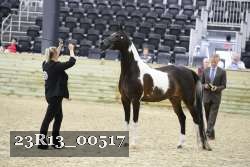 23R13_00517 thumbnail