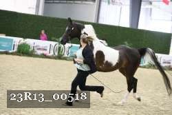 23R13_00518 thumbnail