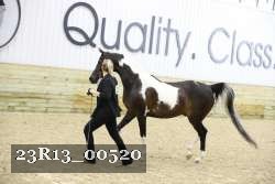 23R13_00520 thumbnail
