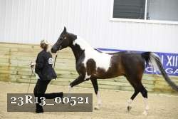 23R13_00521 thumbnail