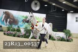 23R13_00537 thumbnail