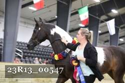 23R13_00547 thumbnail