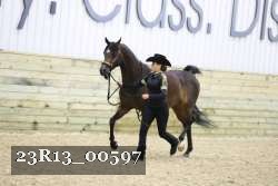 23R13_00597 thumbnail