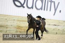 23R13_00598 thumbnail