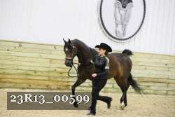 23R13_00599 thumbnail