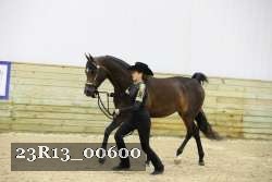 23R13_00600 thumbnail