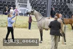 23R13_00604 thumbnail