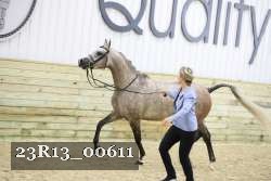 23R13_00611 thumbnail