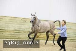 23R13_00612 thumbnail