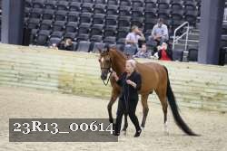 23R13_00614 thumbnail