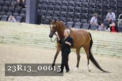 23R13_00615 thumbnail