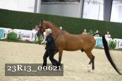 23R13_00621 thumbnail