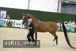 23R13_00622 thumbnail