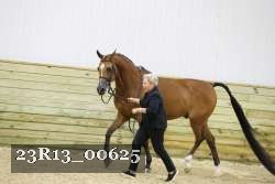 23R13_00625 thumbnail