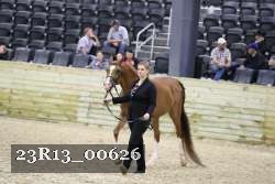 23R13_00626 thumbnail