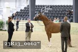 23R13_00627 thumbnail