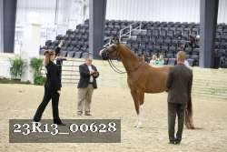 23R13_00628 thumbnail
