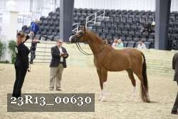 23R13_00630 thumbnail