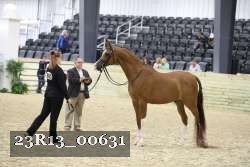 23R13_00631 thumbnail